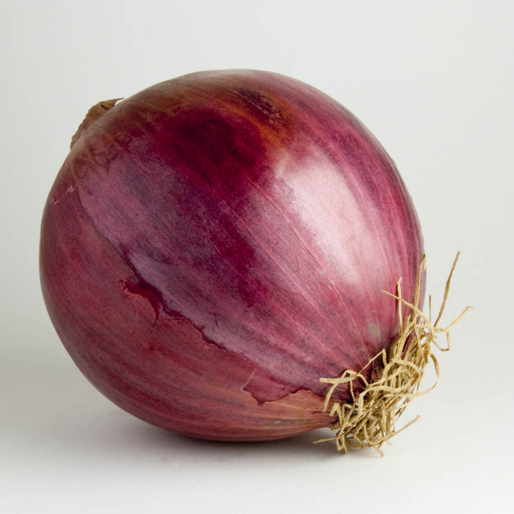 Discover the Secrets of the Dark Web with Onions