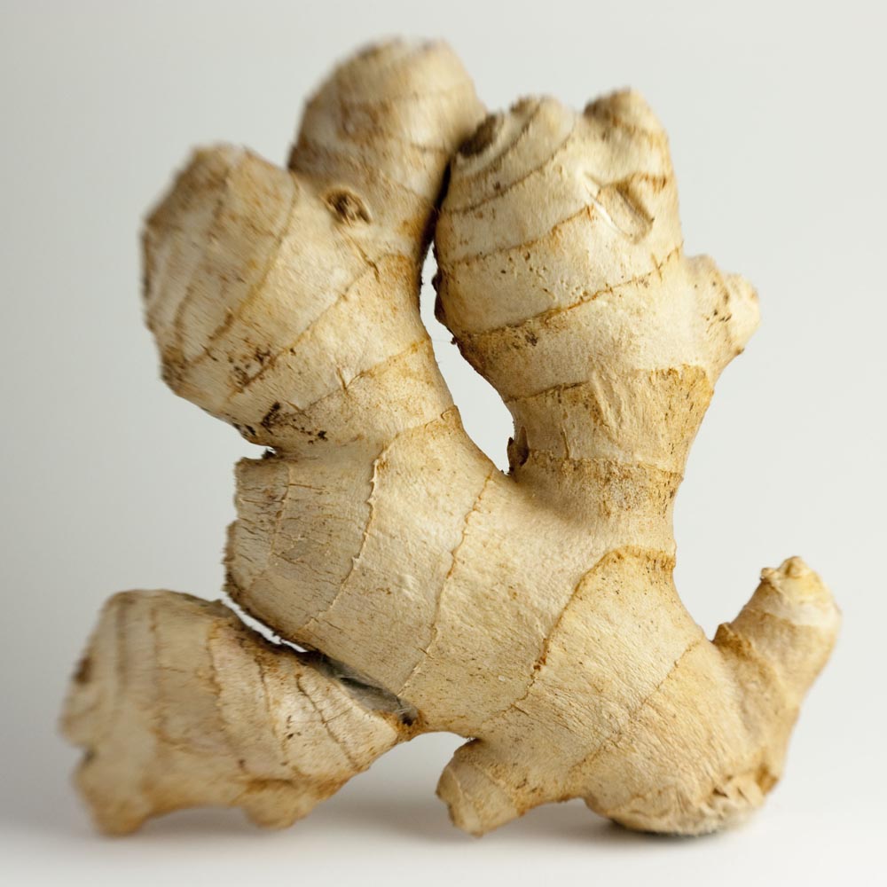 The Backyard Ginger Plant - Think, Eat, Be Healthy