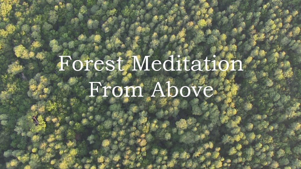 title frame airborn meditation 1