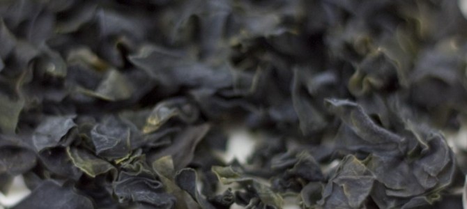 The Nutritional Bounty Of Seaweed