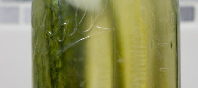 Fermented Mustard Pickle Spears
