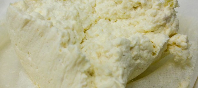Making Queso Blanco Cheese